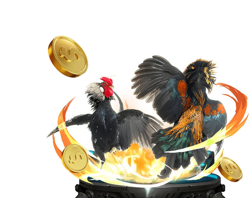 Hướng dẫn cá cược thể thao V9BET